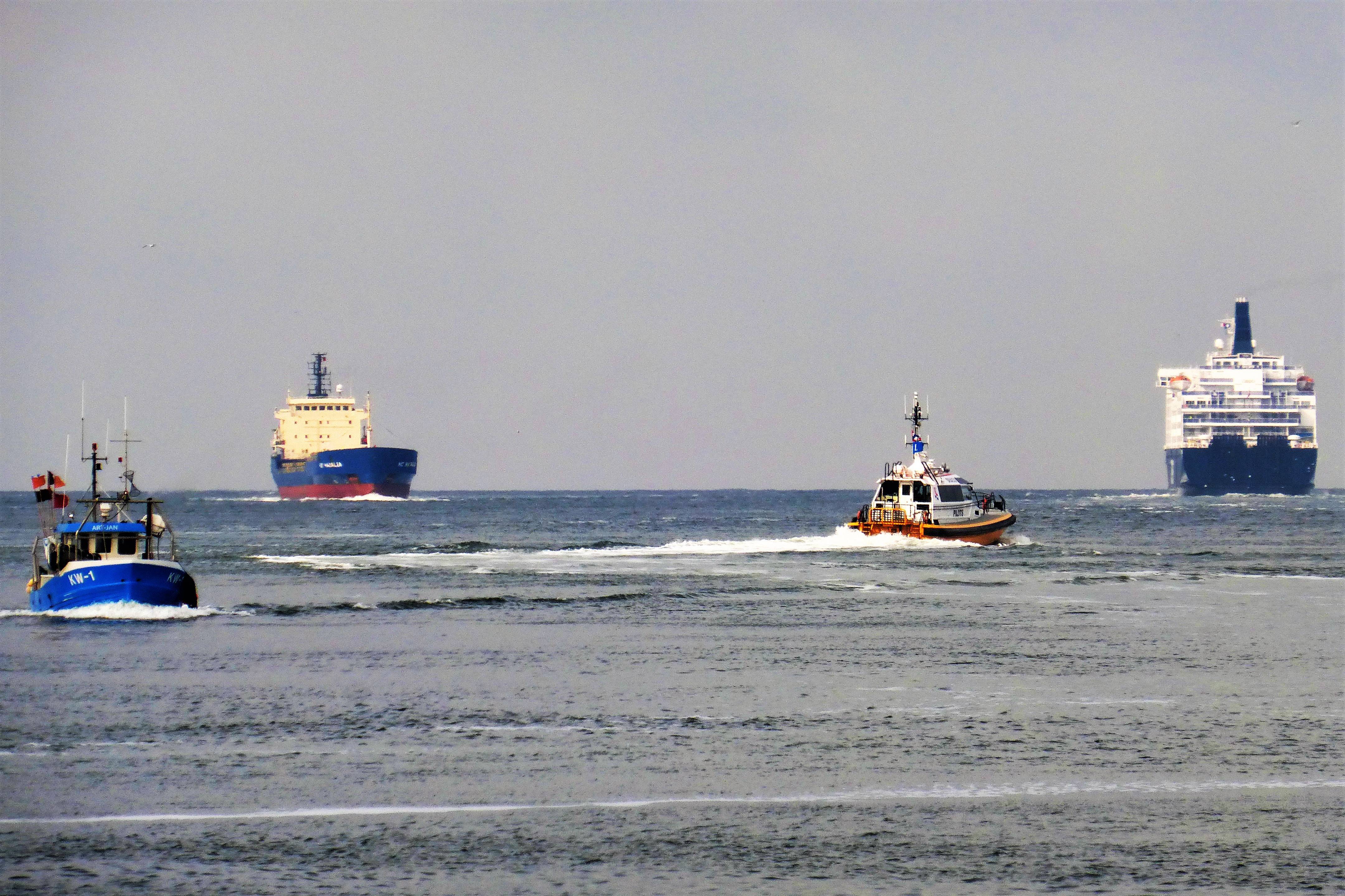 Pieren IJmuiden   23-09-19 